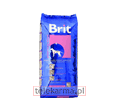 BRIT JUNIOR LARGE BREED
