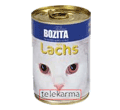 BOZITA CAT Z ŁOSOSIEM