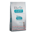 BRIT CARE ADULT SENSITIVE SALMON & POTATO