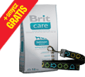 BRIT CARE ADULT SENSITIVE SALMON & POTATO