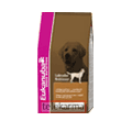 EUKANUBA BREED ADULT LABRADOR RETRIEVER wyprzedaż