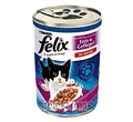 FELIX • KACZKA I DRÓB W GALARECIE •