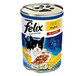 FELIX • KURCZAK W GALARECIE •