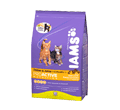 IAMS KITTEN & JUNIOR