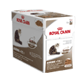 ROYAL CANIN FELINE AGEING +12