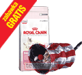 ROYAL CANIN FELINE BABYCAT 34