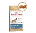 ROYAL CANIN BREED BOXER