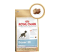 ROYAL CANIN BREED BOXER JUNIOR