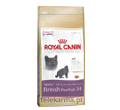 ROYAL CANIN FELINE BREED BRITISH SHORTHAIR 34
