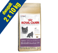 ROYAL CANIN FELINE BREED BRITISH SHORTHAIR 34