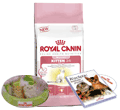 ROYAL CANIN FELINE KITTEN 36 STARTER PACK