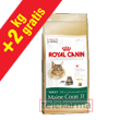 ROYAL CANIN FELINE BREED MAINE COON 31