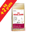 ROYAL CANIN FELINE BREED PERSIAN 30