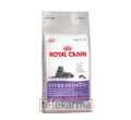 ROYAL CANIN FELINE STERILISED +7