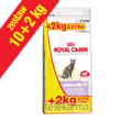 ROYAL CANIN FELINE STERILISED 37