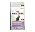 ROYAL CANIN FELINE STERILISED 37