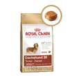ROYAL CANIN BREED DACHSHUND ADULT