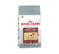 ROYAL CANIN ENERGY 4800