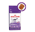 ROYAL CANIN GIANT JUNIOR