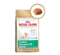 ROYAL CANIN BREED GOLDEN RETRIEVER JUNIOR