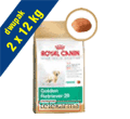  ROYAL CANIN BREED GOLDEN RETRIEVER JUNIOR