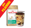 ROYAL CANIN BREED GOLDEN RETRIEVER JUNIOR