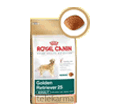 ROYAL CANIN BREED GOLDEN RETRIEVER