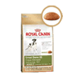 ROYAL CANIN BREED GREAT DANE