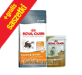 ROYAL CANIN FELINE HAIR & SKIN 33