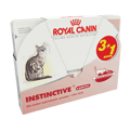ROYAL CANIN FELINE INSTINCTIVE 12 W GALARETCE