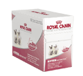 ROYAL CANIN FELINE KITTEN INSTINCTIVE 12