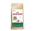 ROYAL CANIN FELINE BREED MAINE COON 31
