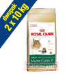 ROYAL CANIN FELINE BREED MAINE COON 31
