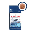 ROYAL CANIN MAXI JUNIOR