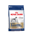 ROYAL CANIN MAXI SENSIBLE