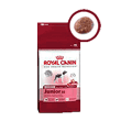 ROYAL CANIN MEDIUM JUNIOR