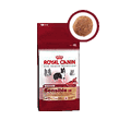 ROYAL CANIN MEDIUM SENSIBLE