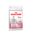 ROYAL CANIN MEDIUM STARTER MOTHER&BABYDOG