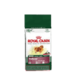 ROYAL CANIN MINI INDOOR 21