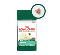 ROYAL CANIN MINI JUNIOR