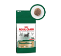 ROYAL CANIN MINI SENSIBLE