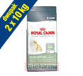 ROYAL CANIN FELINE DIGESTIVE