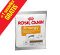ROYAL CANIN ENERGY-PRZYSMAK DLA PSÓW