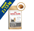 ROYAL CANIN BREED YORKSHIRE