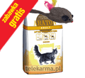ARATON CAT ADULT AFTER STERILIZATION