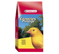 VERSELE-LAGA CANARY VERSELE-LAGA CANARY