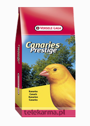VERSELE-LAGA CANARY VERSELE-LAGA CANARY