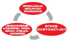 wpływ stresu