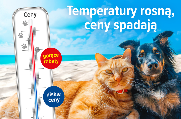 Lipcowe promocje  w Telekarmie