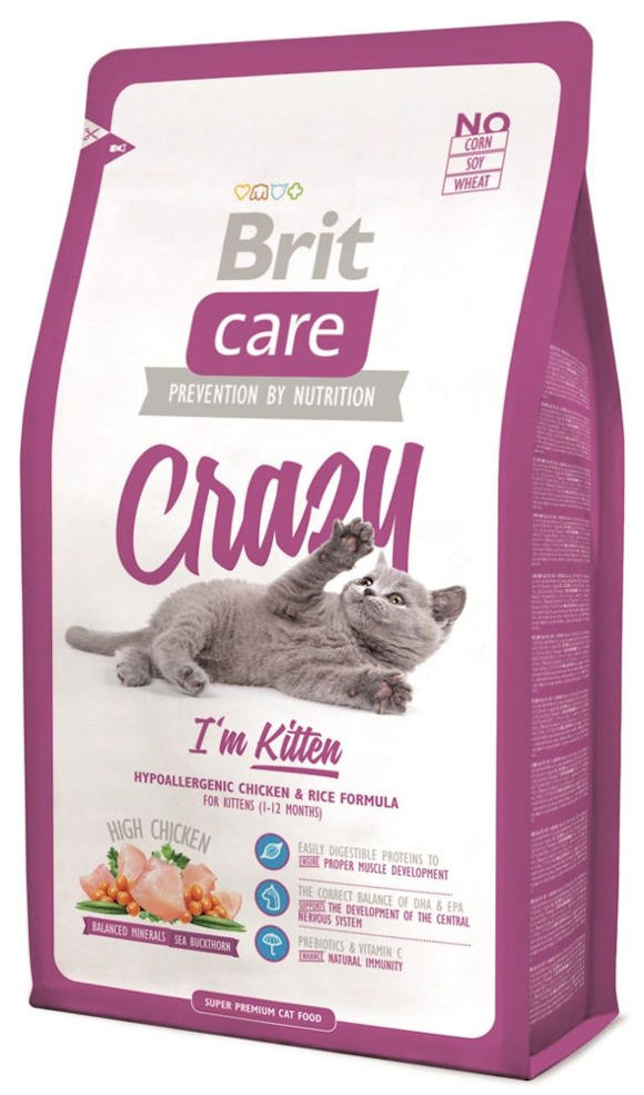 BRIT CARE CAT CRAZY IM KITTEN